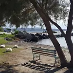 Lagada 2*