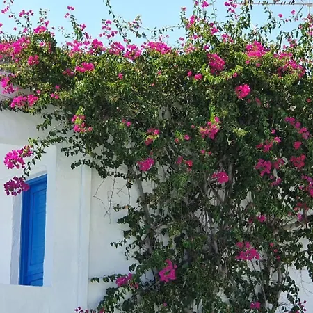 Hotel Lagada Adamantas (Milos)